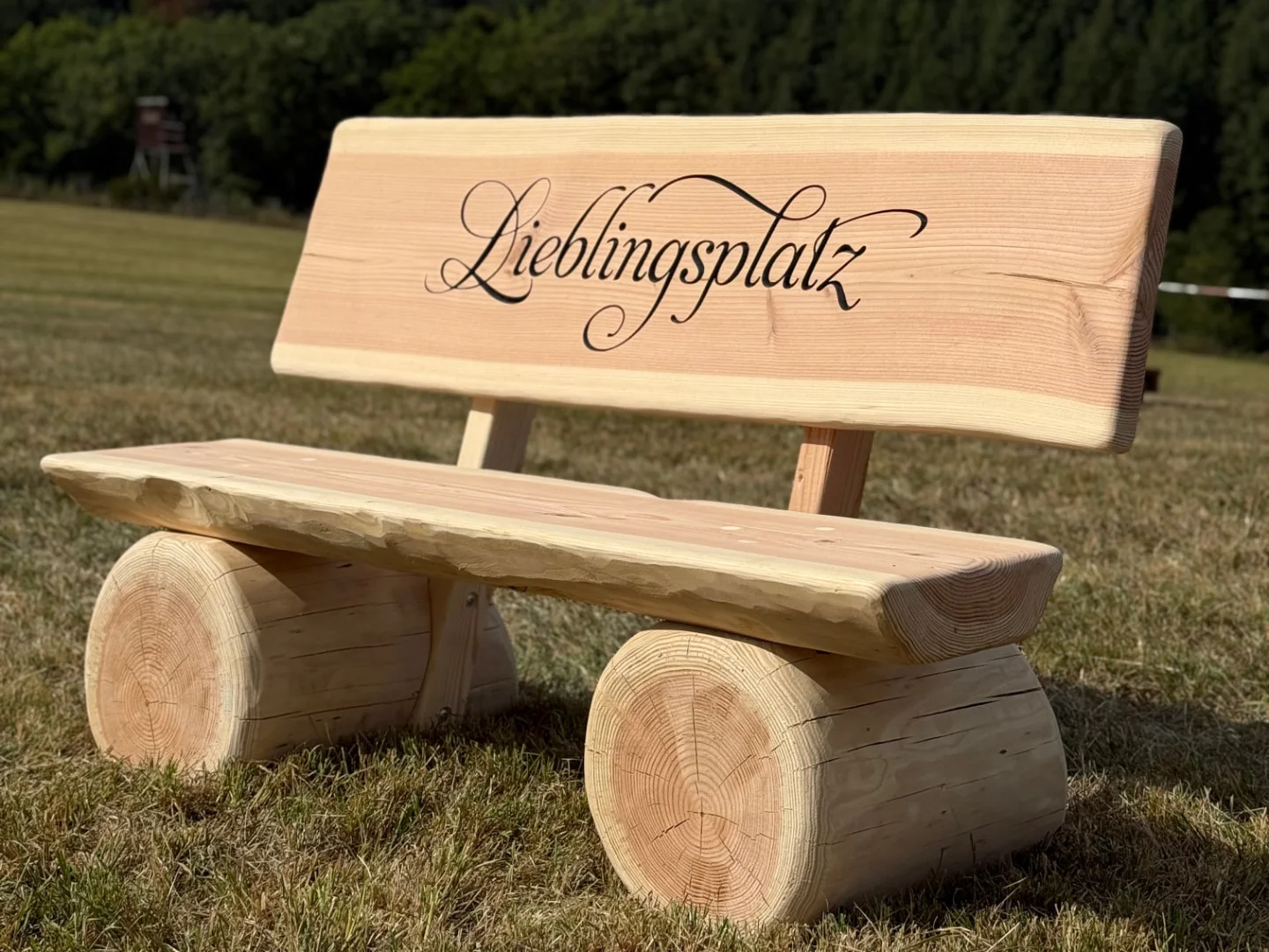 Baumstammbank mit CNC-Gravur 'Lieblingsplatz' Naturbelassene Baumstammbank mit schwarz ausgearbeiteter CNC-Gravur 'Lieblingsplatz' auf einer Wiese.